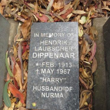 DIPPENAAR Hendrik Laubscher 1913-1967