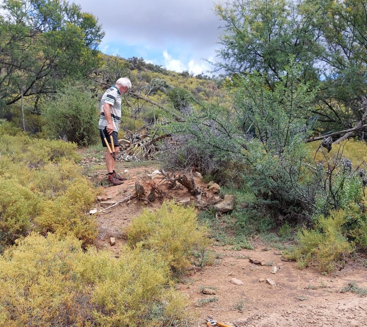 1. Graf voor dit herstel is