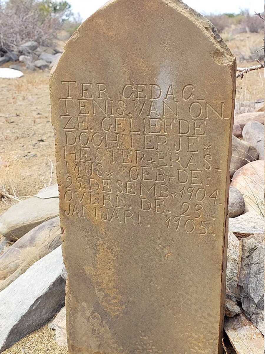 ERASMUS Hester 1904-1905