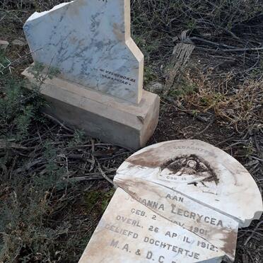 WIT Johanna Lecrycea, de 1901-1912