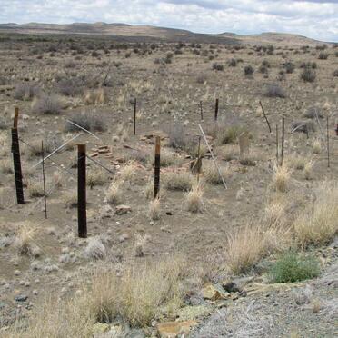 2. Overview / Oorsig