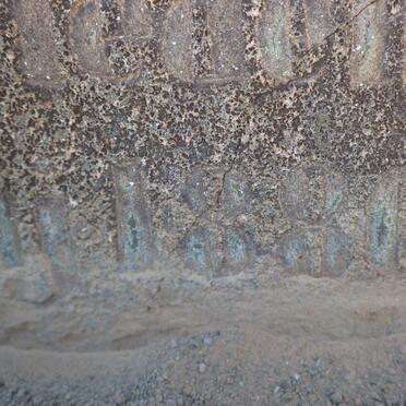 ALBERTS Carel Antoni Johannes 1857-1880