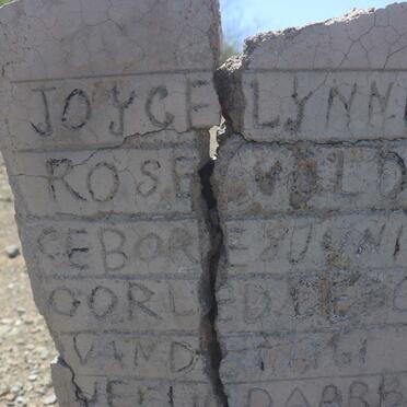 VELDTMAN Joyce Lynne Rose 1959-1961 