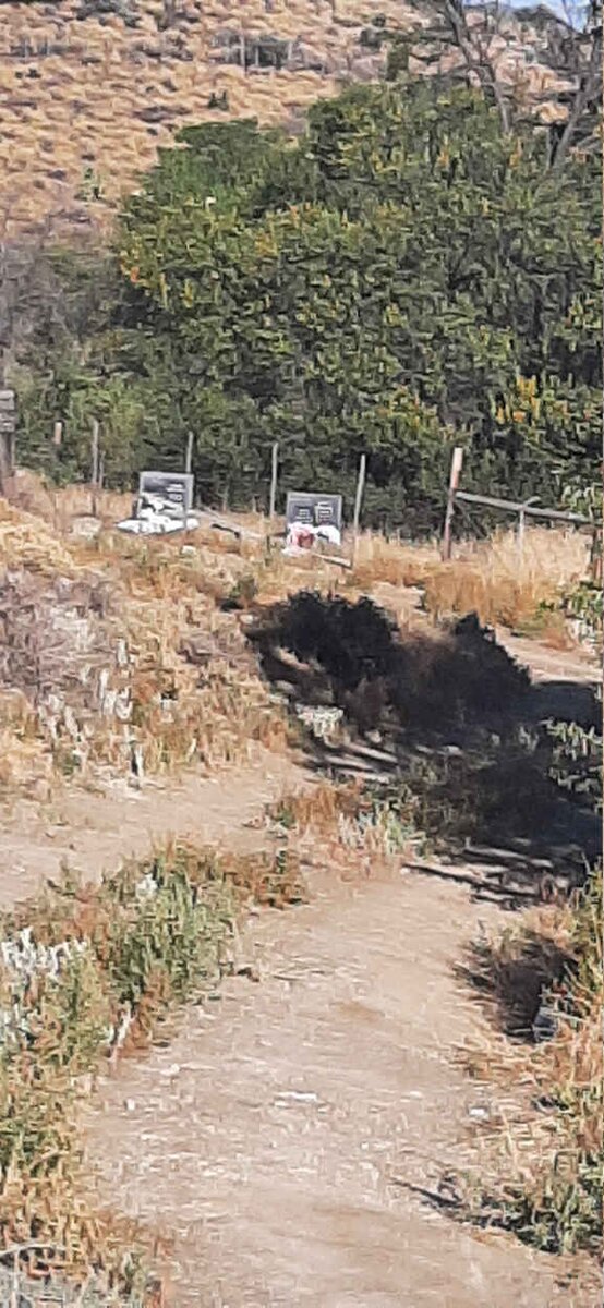 1. Overview / Oorsig