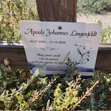 LINGENVELDT Apools Johannes 1954-2020