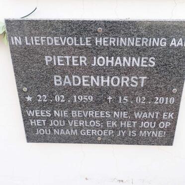 BADENHORST Pieter Johannes 1959-2010