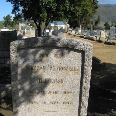 IMMELMAN Susannah Petronella 1894-1947