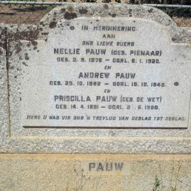 PAUW Andrew 1882-1945 &amp; Nellie PIENAAR 1876-1920 :: PAUW Priscilla nee DE WET 1891-1980