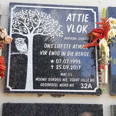 VLOK Adriaan Johannes 1993-2017