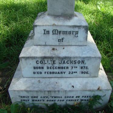 JACKSON Collie 1875-1906 