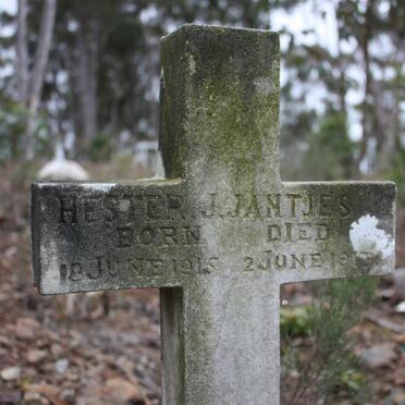 JANTJIES Hester J. 1915-19?