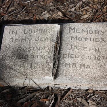 JOSEPH Rosina 188?-1970