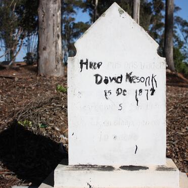 KESONK Dawid 1877-1936