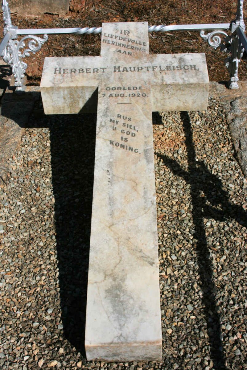 HAUPTFLEISCH Herbert -1920