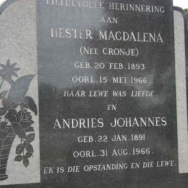 HORNE Andries Johannes 1891-1966 &amp; Hester Magdalena CRONJE 1893-1966