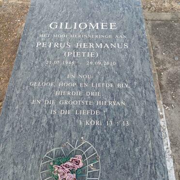 G - Surnames :: Vanne - G