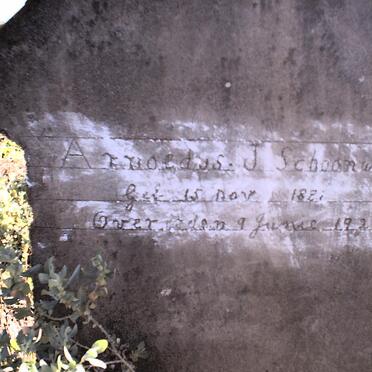 SCHOONWINKEL Arnoldus Johannes 1881-1927