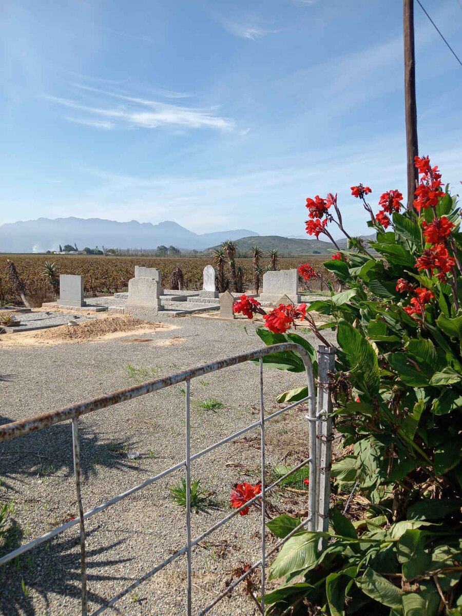 2. Oorsig / Overview