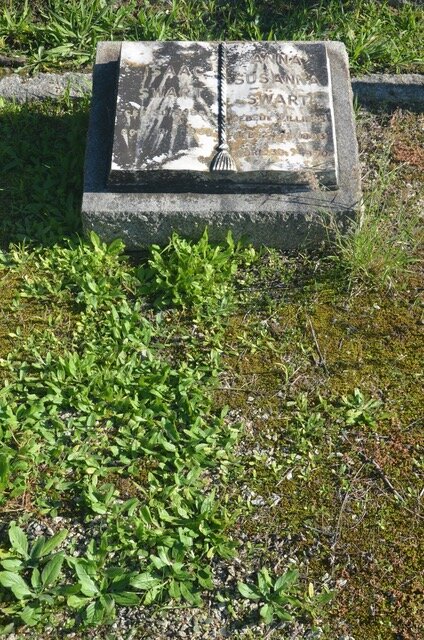 SWART Isaak 1880-19?? & Anna Susanna DE VILLIERS 1883-1970