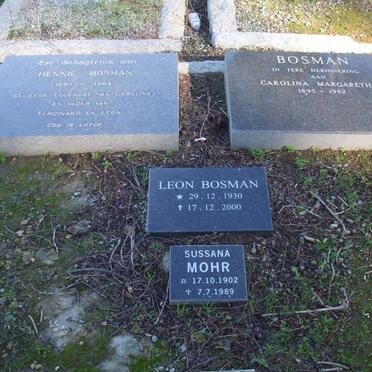 BOSMAN :: MOHR