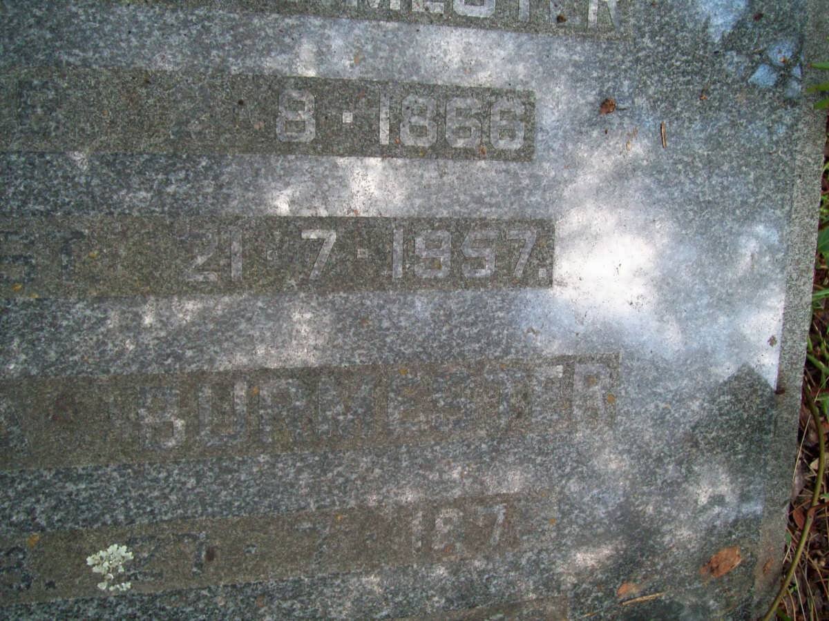 BURMESTER  Gustav 1866-1957