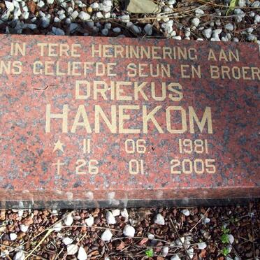 HANEKOM Driekus 1981-2005