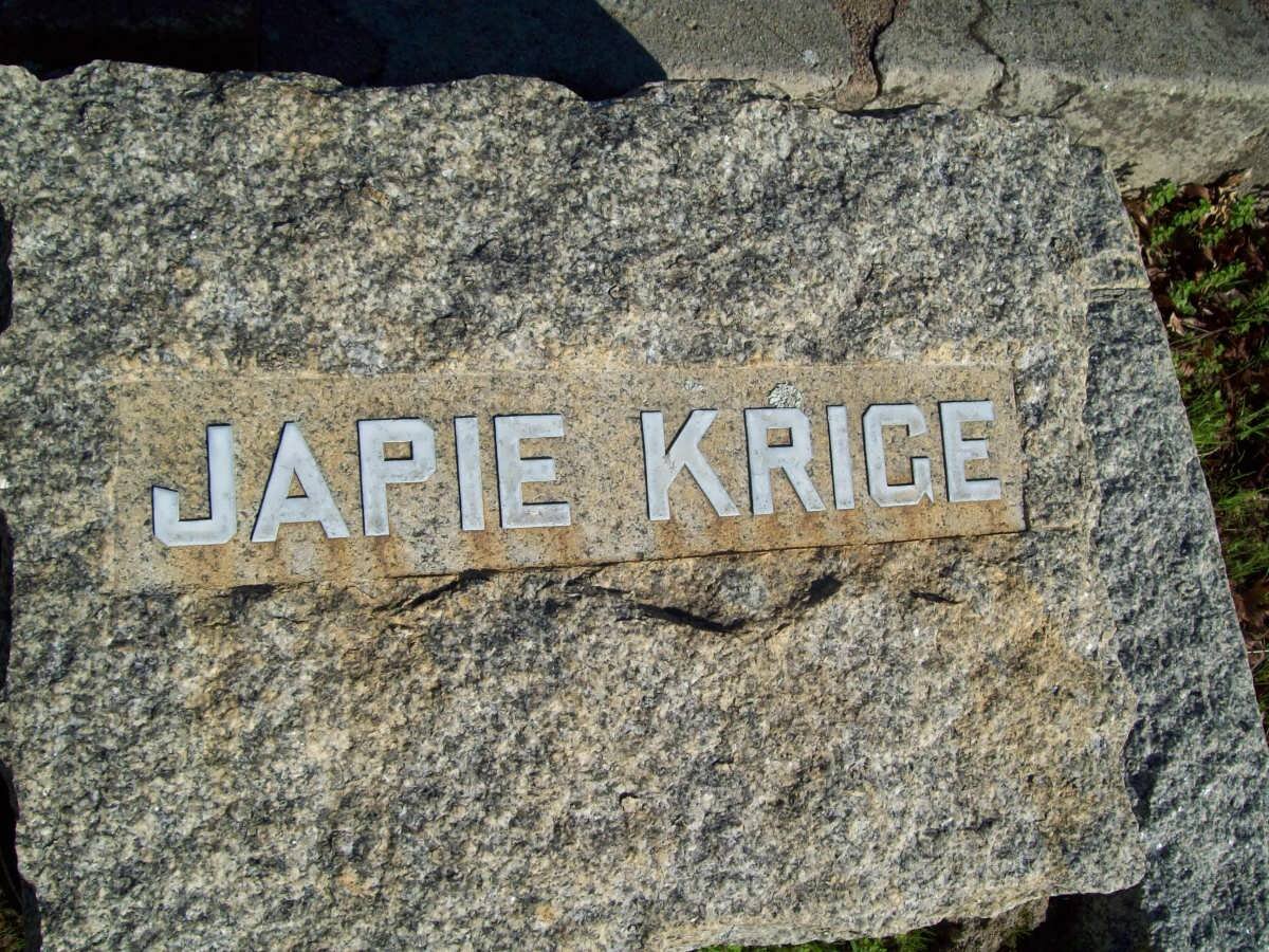KRIGE Japie