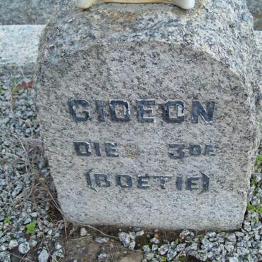 KRIGE Sukey nee RABIE -1935 :: KRIGE Lottie -1951 :: KRIGE Gideon Johannes 1880-1962