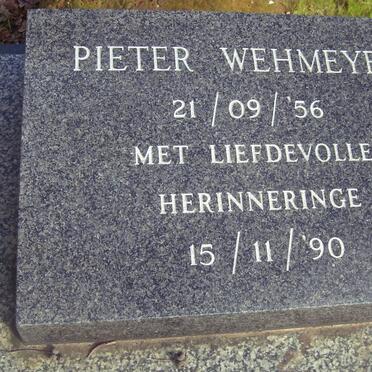 WEHMEYER Pieter 1956-1990