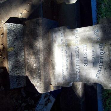 WESTHUIZEN Hester, v.d. -1928