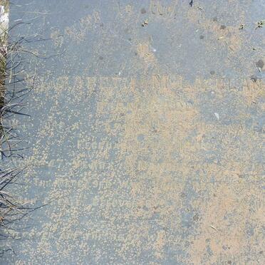 McLACHLAN Elizabeth nee ?ADD -1909