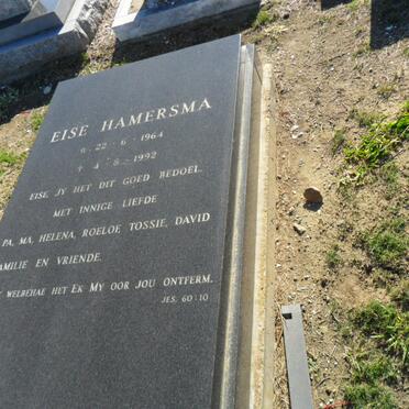 HAMERSMA Eise 1964-1992
