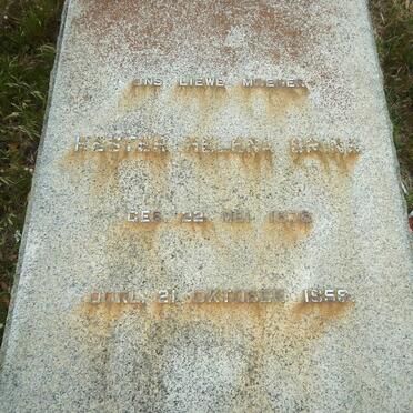 BRINK Hester Helena 1876-1958