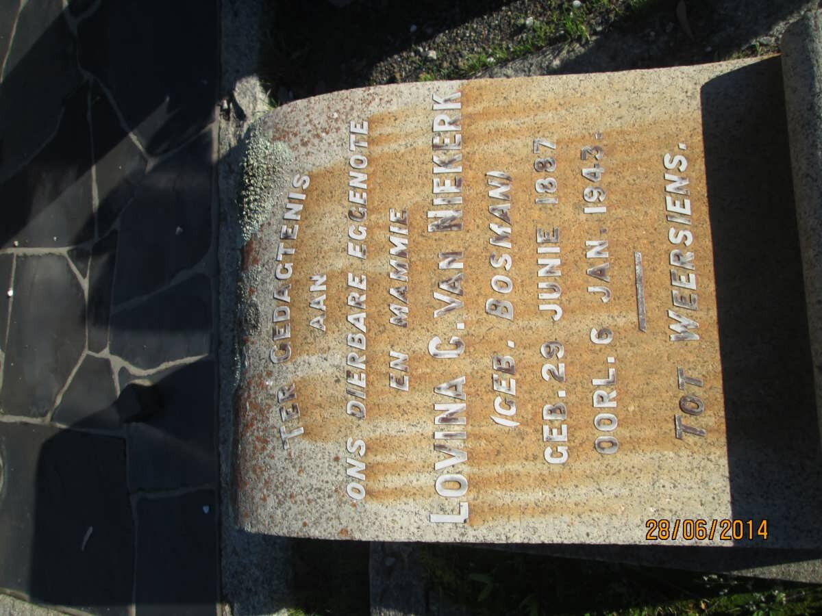 NIEKERK Lovina C., van nee BOSMAN 1887-1943