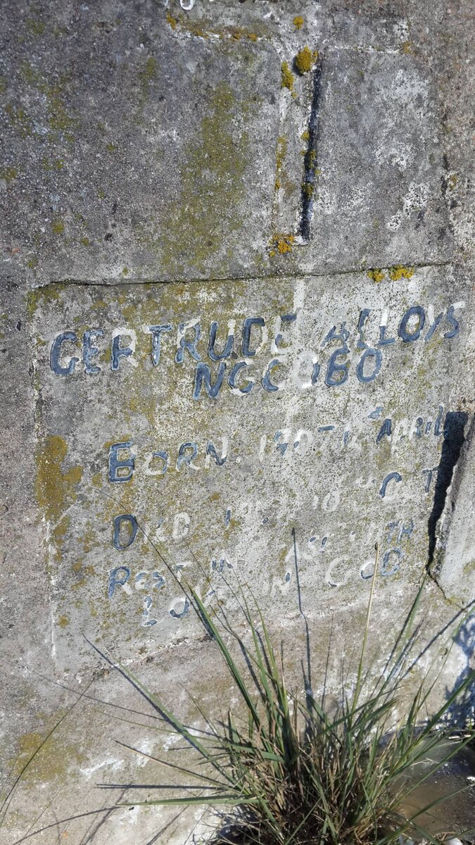 NCGOBO Gertrude Alloys 1907-????