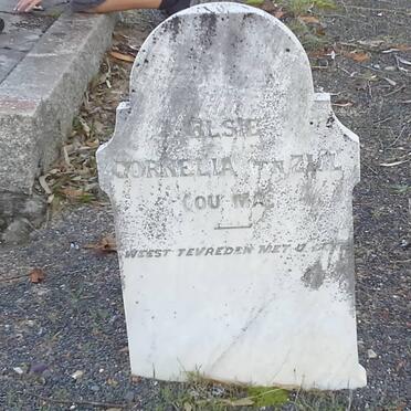 Z - Vanne :: Surnames - Z