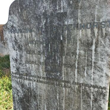 Western Cape, SWELLENDAM district, Tarentaal 445_4, Tarentaal, farm cemetery