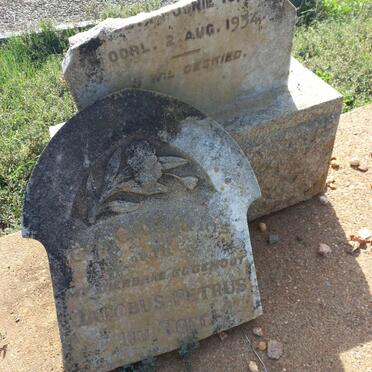 TOIT Jacobus Petrus, du 1865-1934