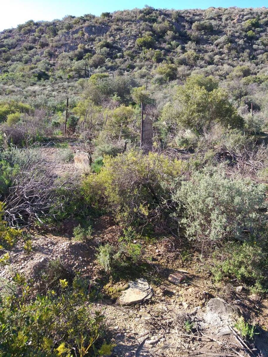 1. Oorsig / Overview