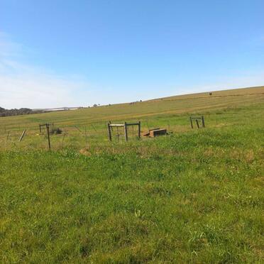 Western Cape, SWELLENDAM district, Stormsvlei, Avontuur 238, farm cemetery