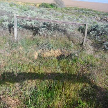 Western Cape, SWELLENDAM district, Rondeheuwel 426, farm cemetery