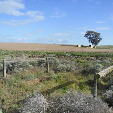 HUMAN Wilhelmina Petronella 1860 -1951