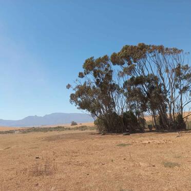 Western Cape, SWELLENDAM district, Kluitjeskraal 256, Kluitjieskraal, farm cemetery