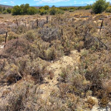 3. Overview / Oorsig