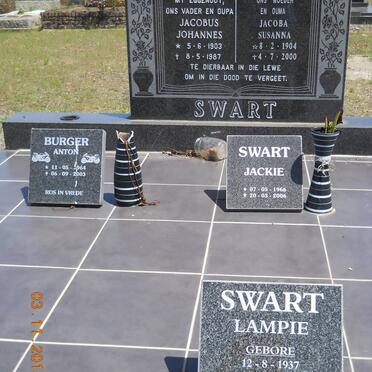 1. Overview / Oorsig SWART :: BURGER graf