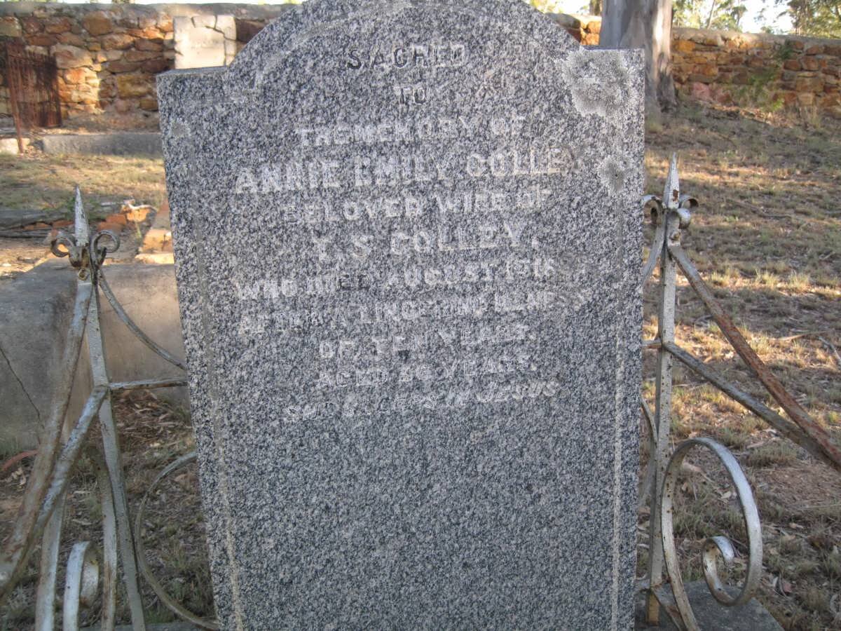 COLLEY Annie Emily - 1?16