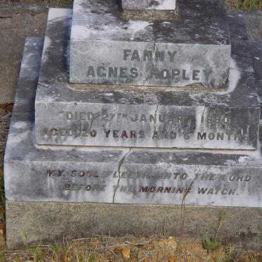 HOPLEY Fanny  Agnes -1890