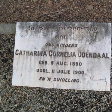 ODENDAAL Catharina Cornelia 1890-1900 :: ODENDAAL ?