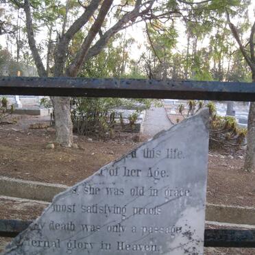 STEYN L. Catherine 1878-