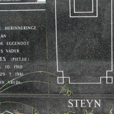 STEYN Johannes 1910-1981 &amp; Elizabeth 1918-2006